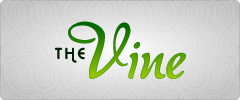 THE VINE